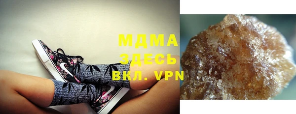 индика Кулебаки
