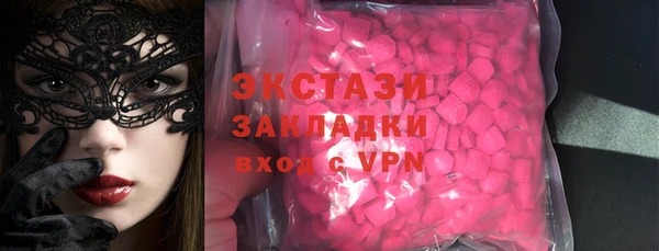 индика Кулебаки