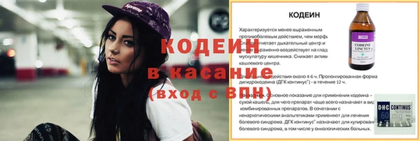 индика Кулебаки