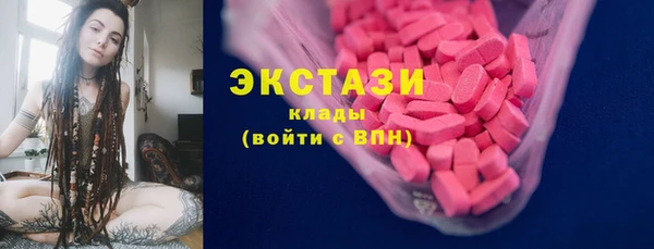 индика Кулебаки