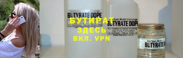 индика Кулебаки