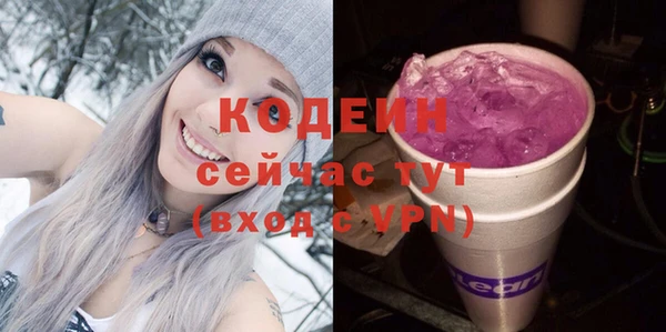 индика Кулебаки
