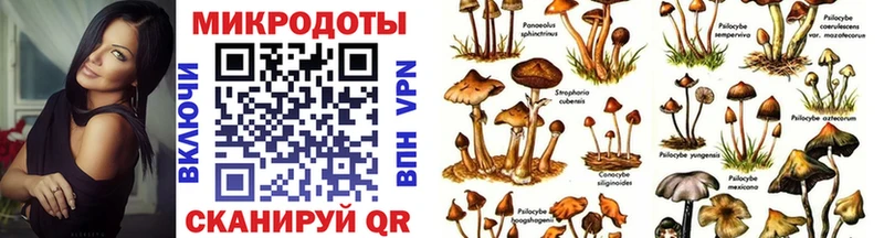 Псилоцибиновые грибы мицелий  Купить где  Воскресенск 